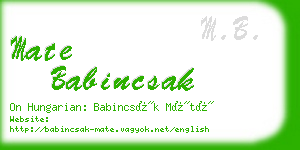 mate babincsak business card